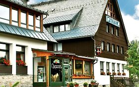 Ferienhotel Mühlleithen